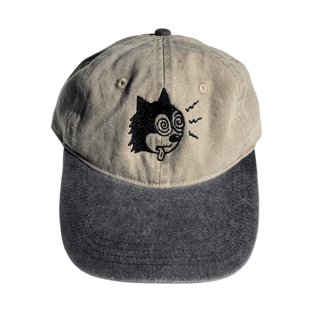 Cat in top the hat cap